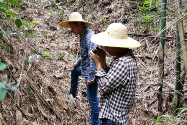 20200818/5f3b9a203a58b.jpg 3.jpg