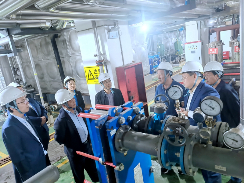 20241011/67087559836ee.jpg 2.jpg