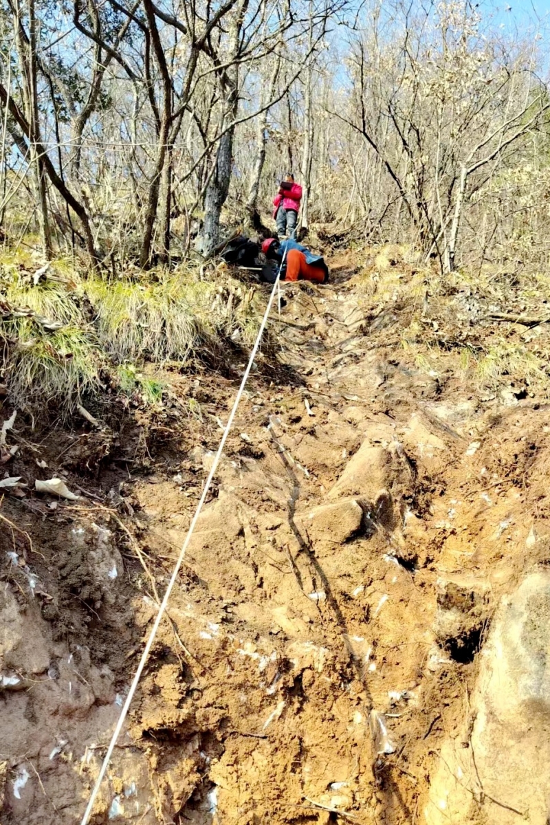 20250228/67c18219533d8.jpg 2.jpg