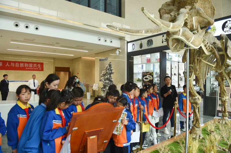 20250422/680761e4e1798.jpg 2.jpg