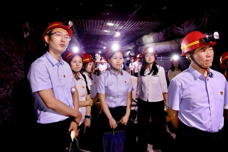 20250529/683826ca88477.jpg 3.jpg