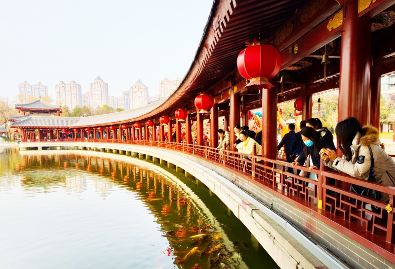 20260209/69893e58dcd54.jpg 4.jpg